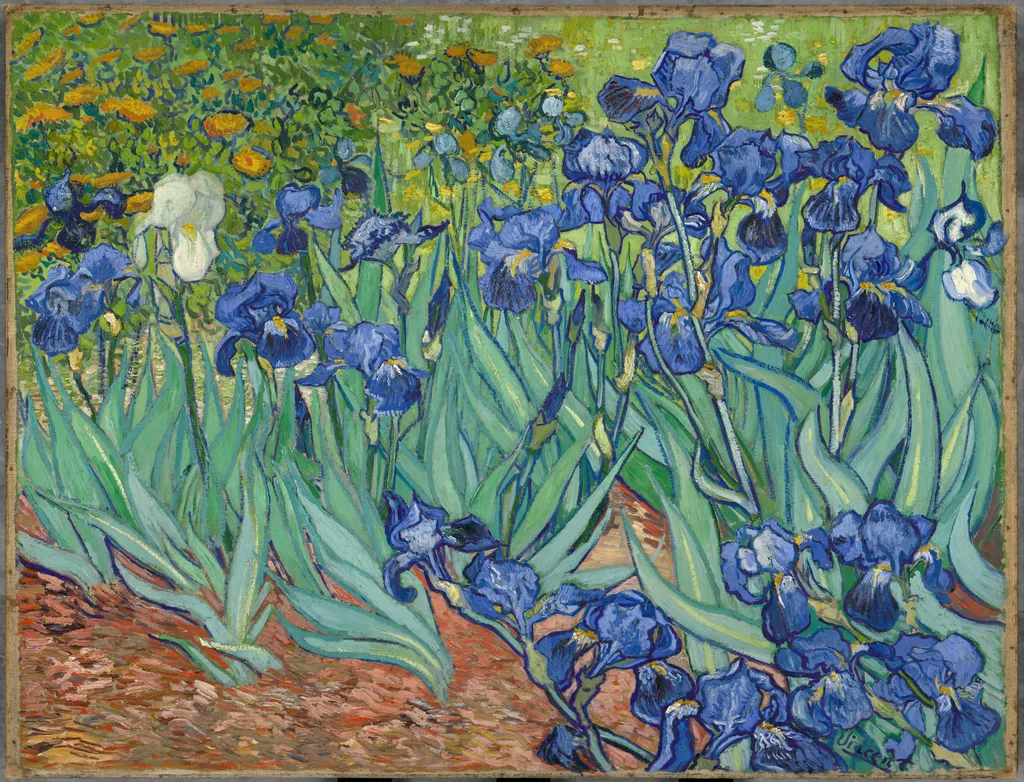 Irises, by Vincent van Gogh, oil, 1889