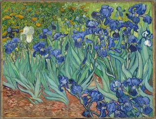 Irises, by Vincent van Gogh, oil, 1889