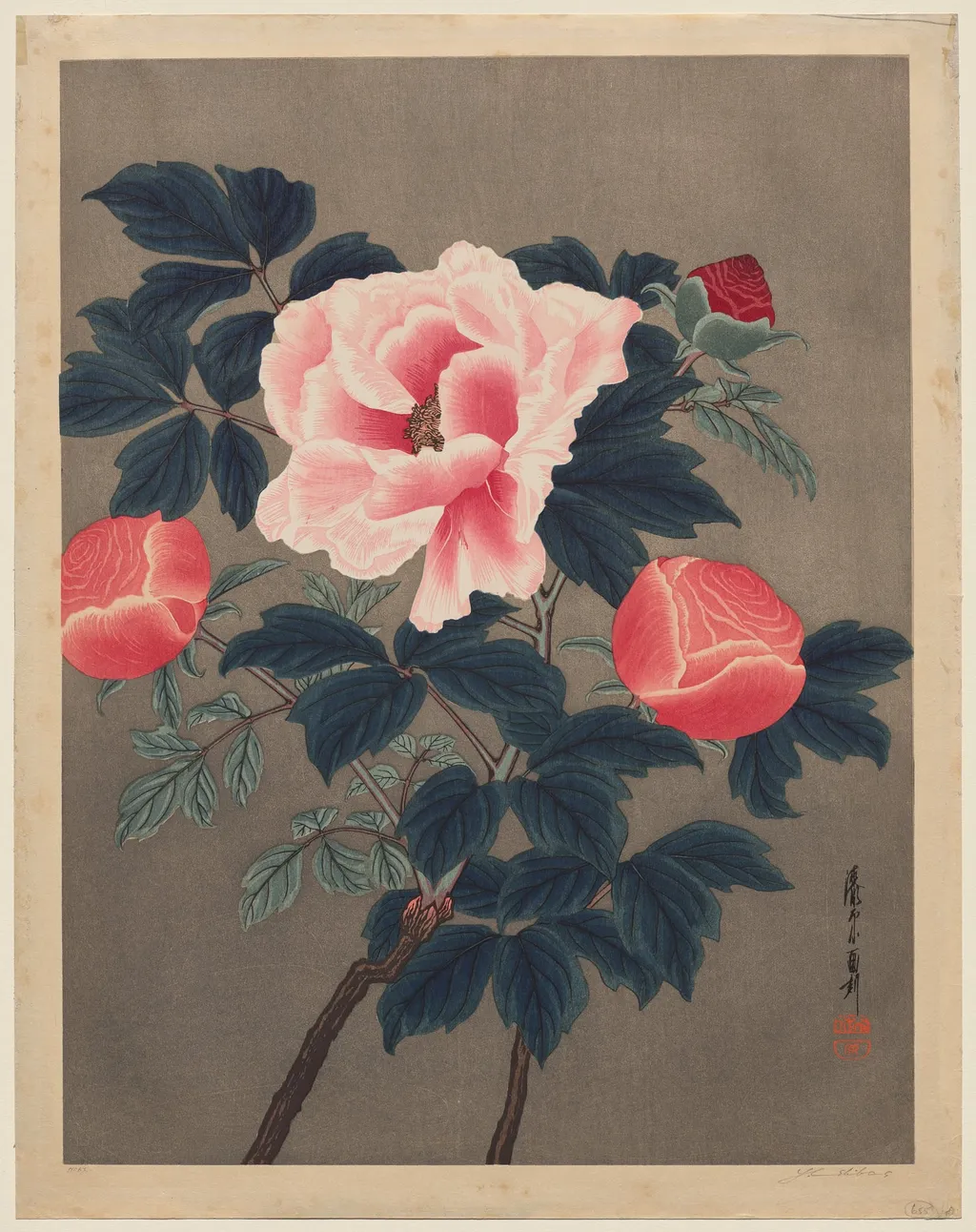Peonies, by Yoshijiro Urushibara, 1904