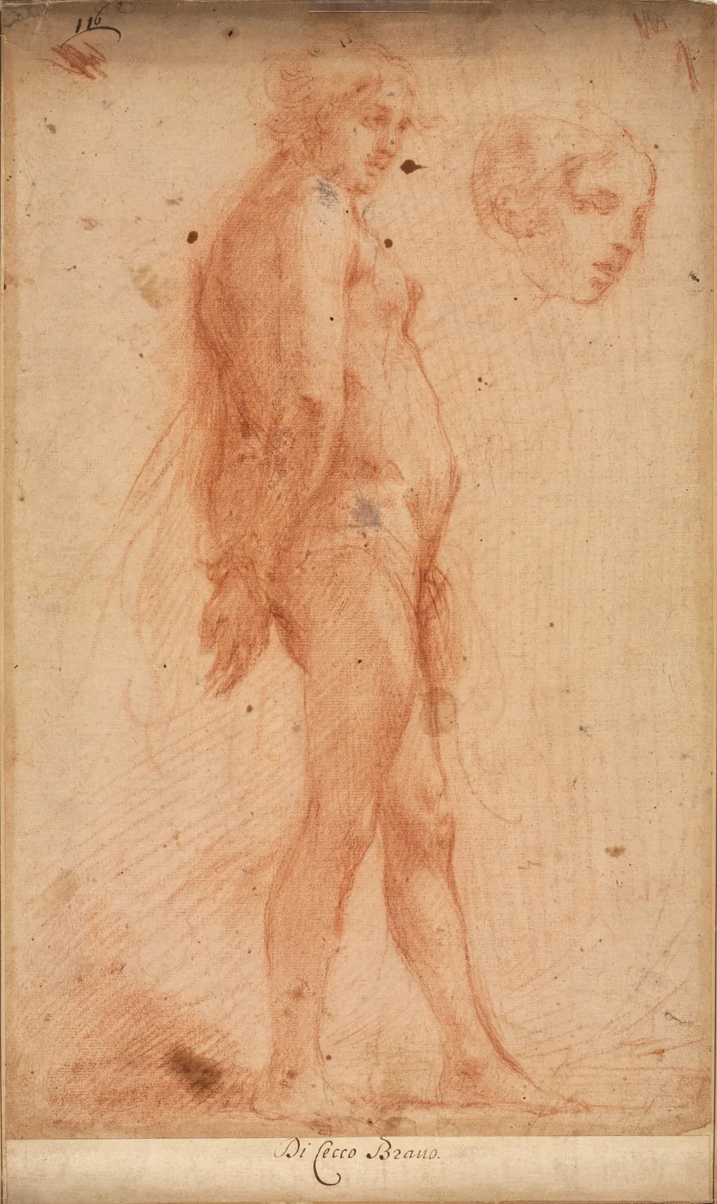 Study of a Standing Male Nude, with a Study of Head in Three-Quarter Profile, by Cecco Bravo, 1640