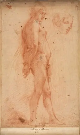 Study of a Standing Male Nude, with a Study of Head in Three-Quarter Profile, by Cecco Bravo