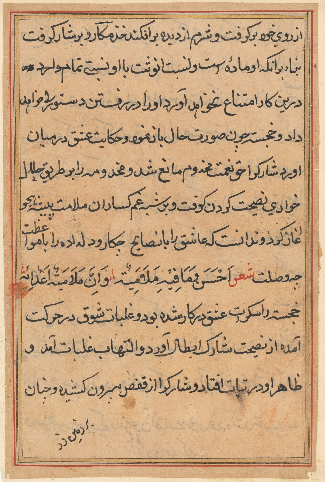 Page from Tales of a Parrot (Tuti-nama): text page, detail