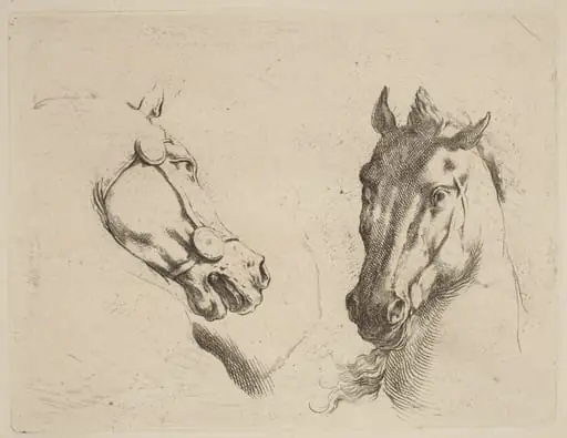 Head of a Horse Seen in Profile and in Three-Quarters, by Stefano Della Bella, ink, 1637