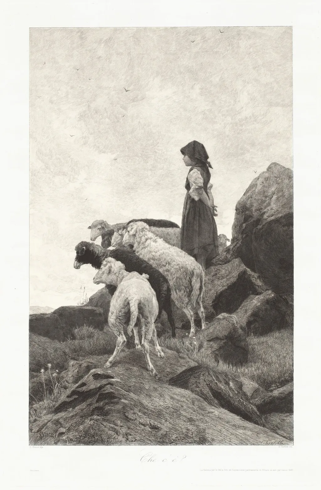 What Is It? (Che c'è?), by Celestino Turletti, ink, 1887