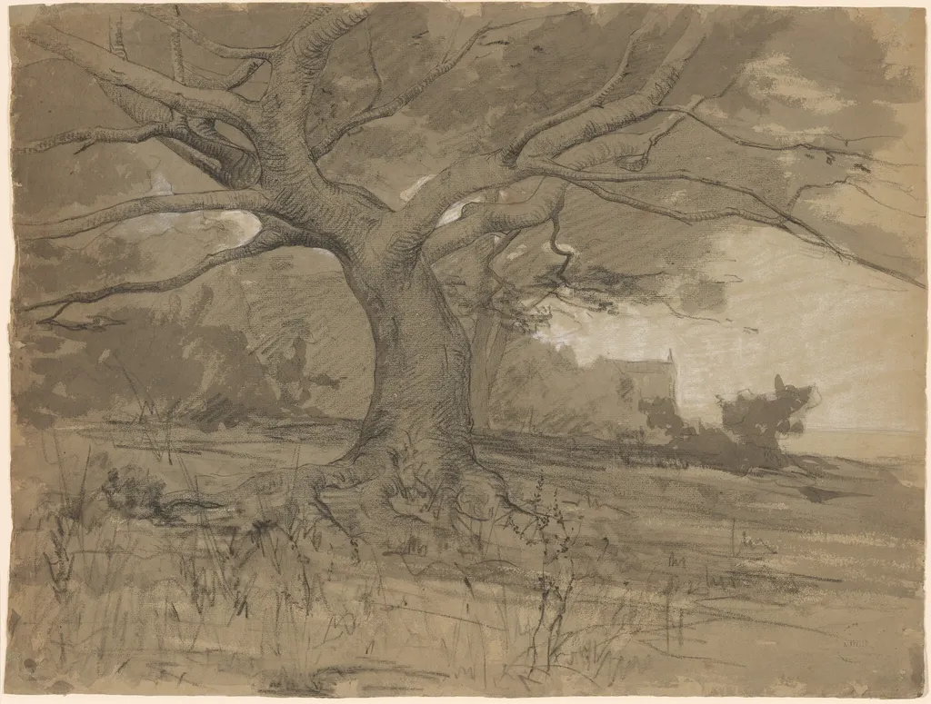 A Great Beech Tree at the Edge of a Wood, by Adolphe Appian, chalk, 1840