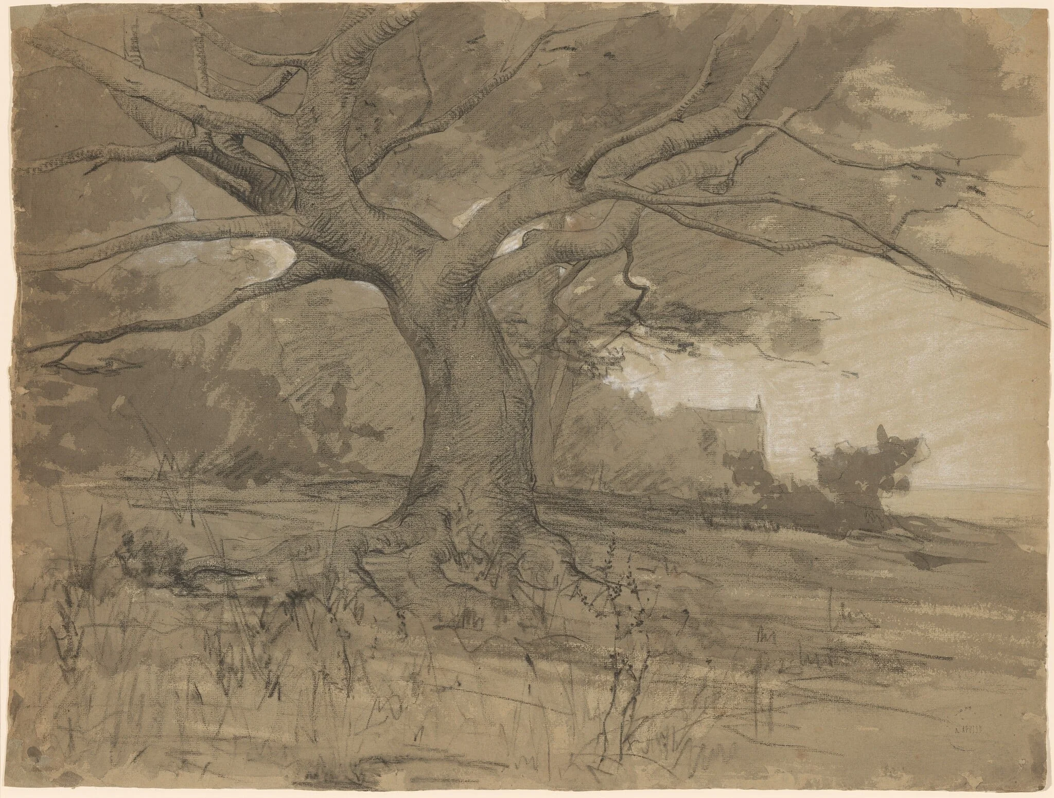 A Great Beech Tree at the Edge of a Wood, detail