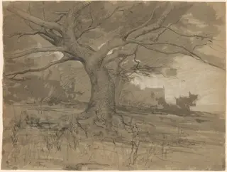A Great Beech Tree at the Edge of a Wood, by Adolphe Appian, chalk, 1840