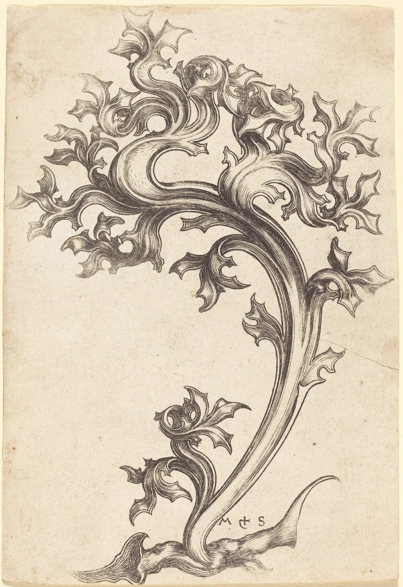 Thistle Ornament, detail