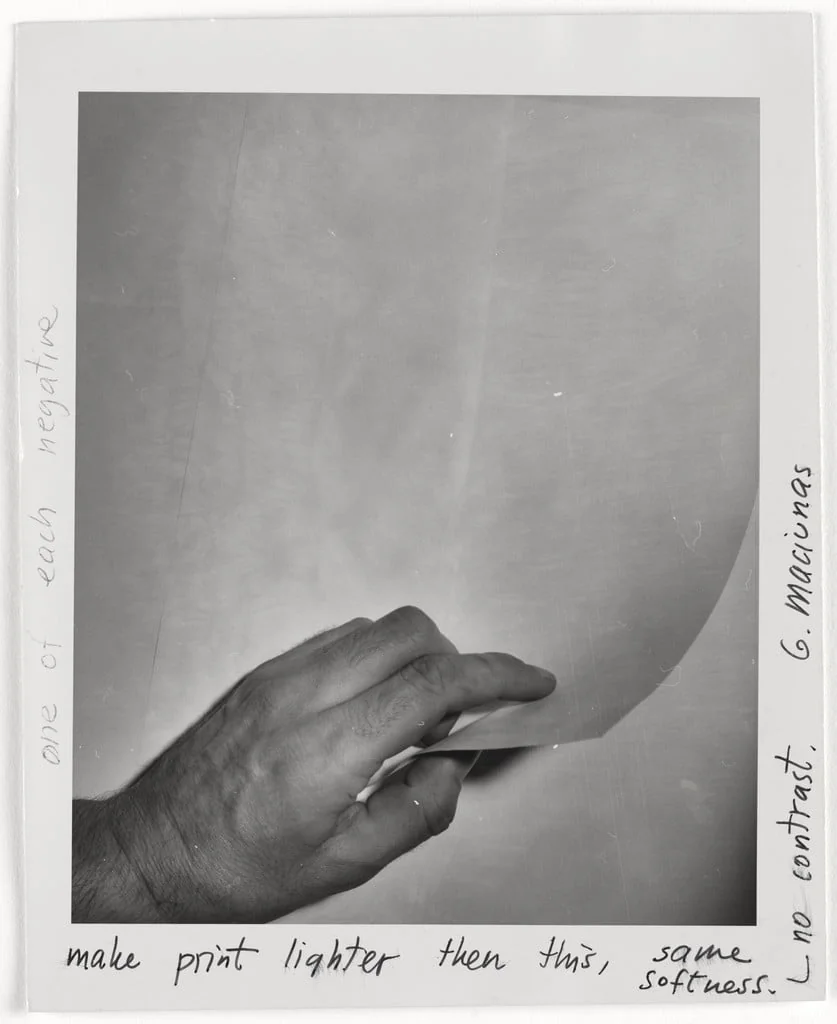 Untitled, detail