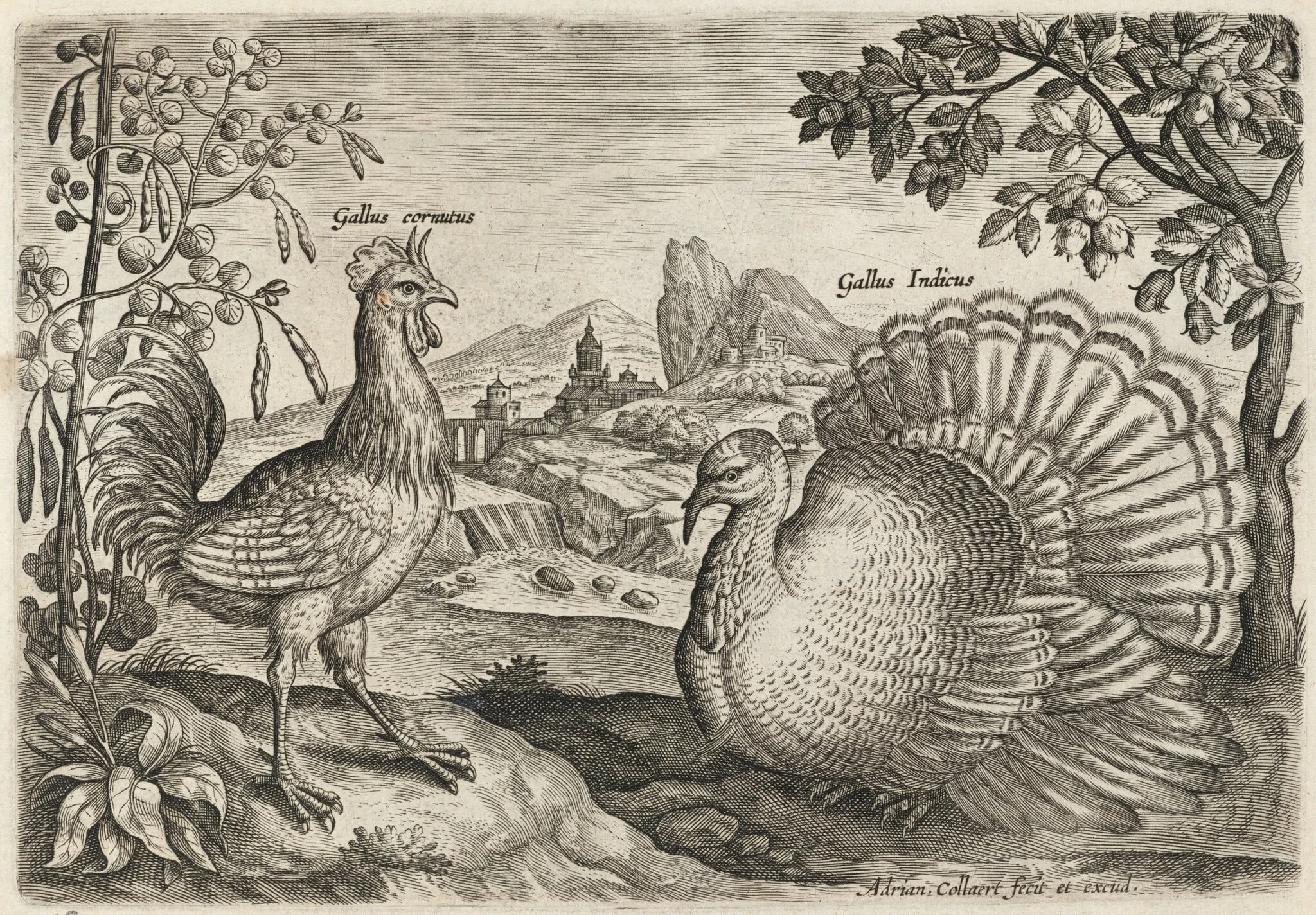 Horned Cock and Turkey, detail