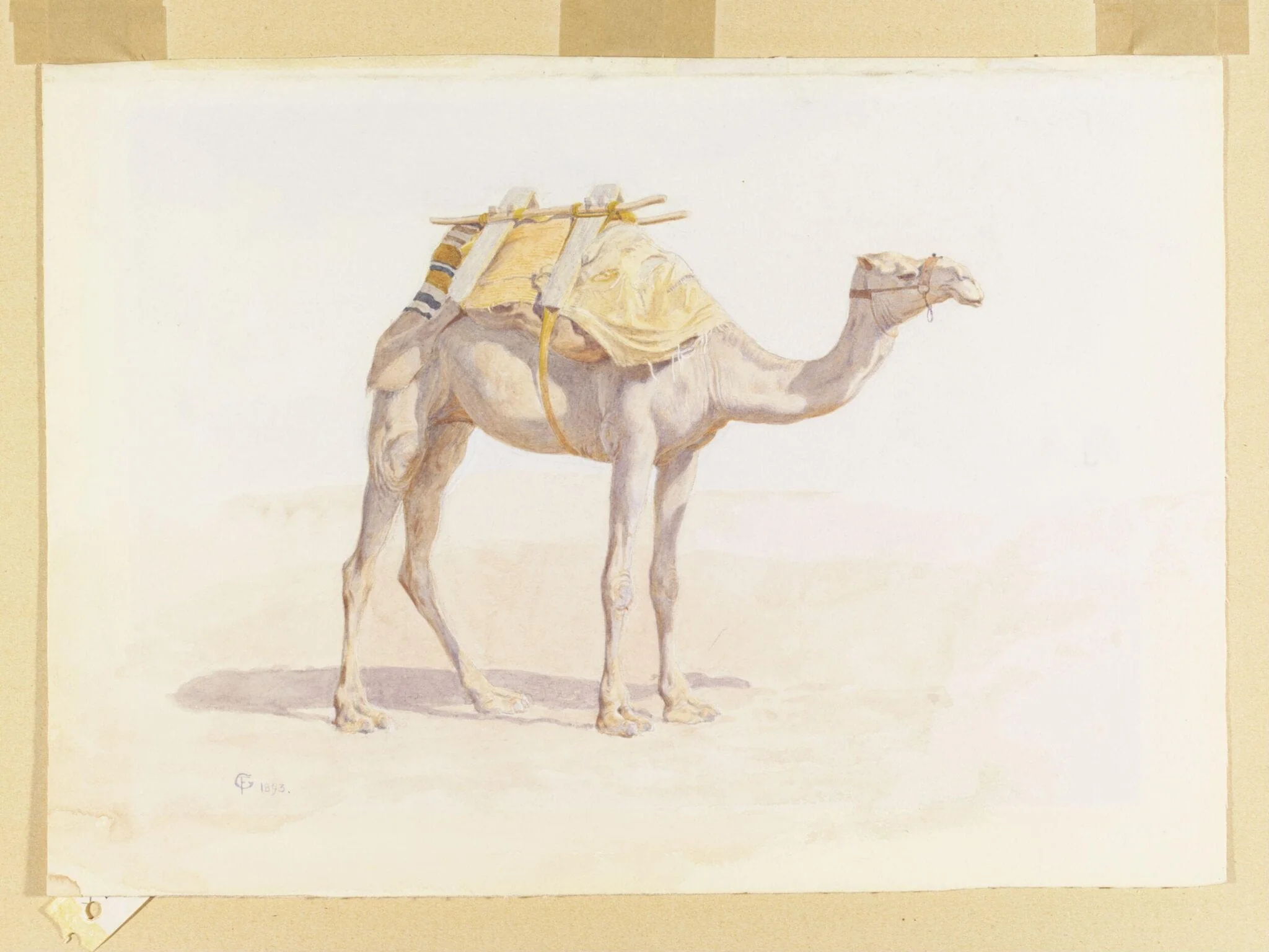 Baggage Camel, detail