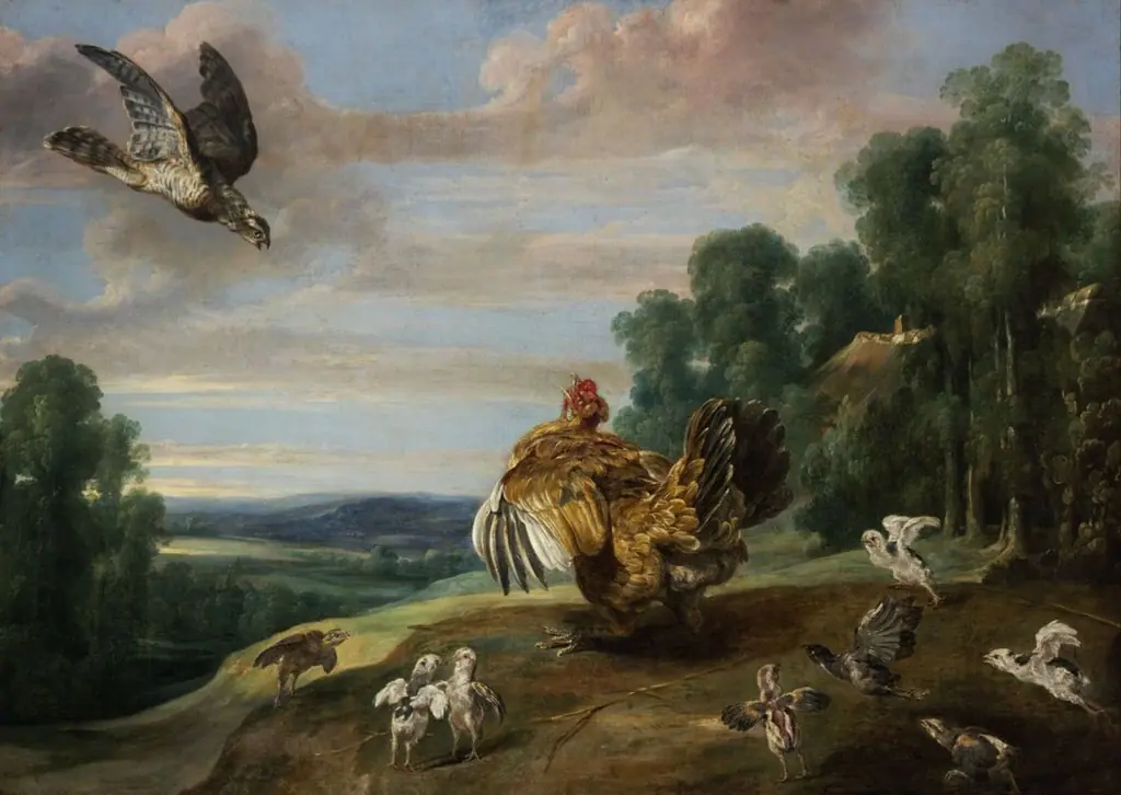 A Hawk and a Brood Hen, by Frans Snyders, oil, 1646