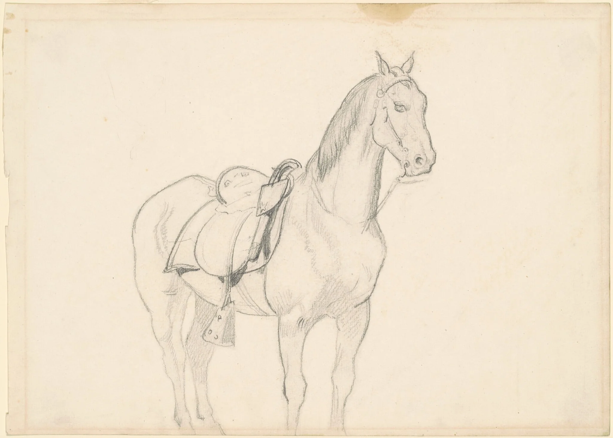 Horse, detail