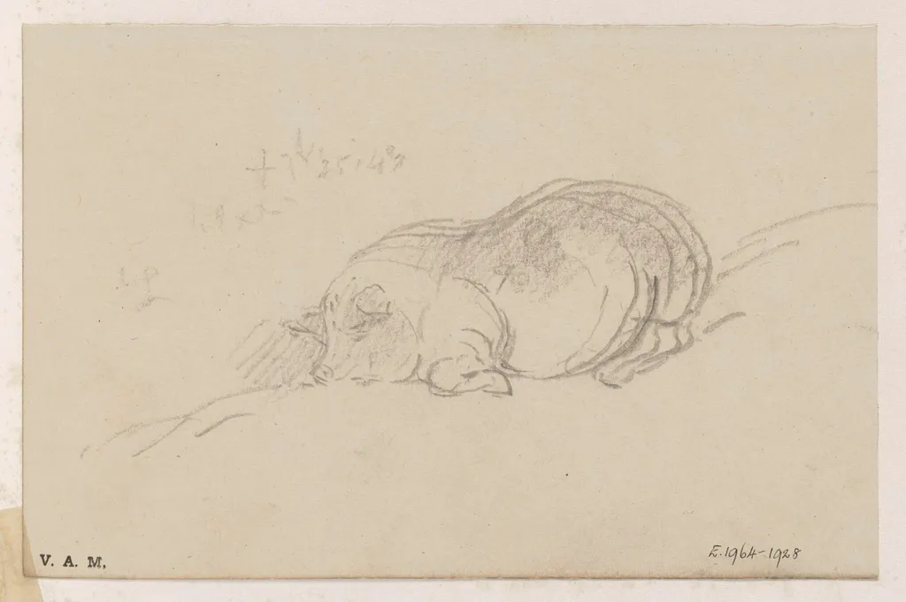 A sleeping pig, by George Chinnery, 14