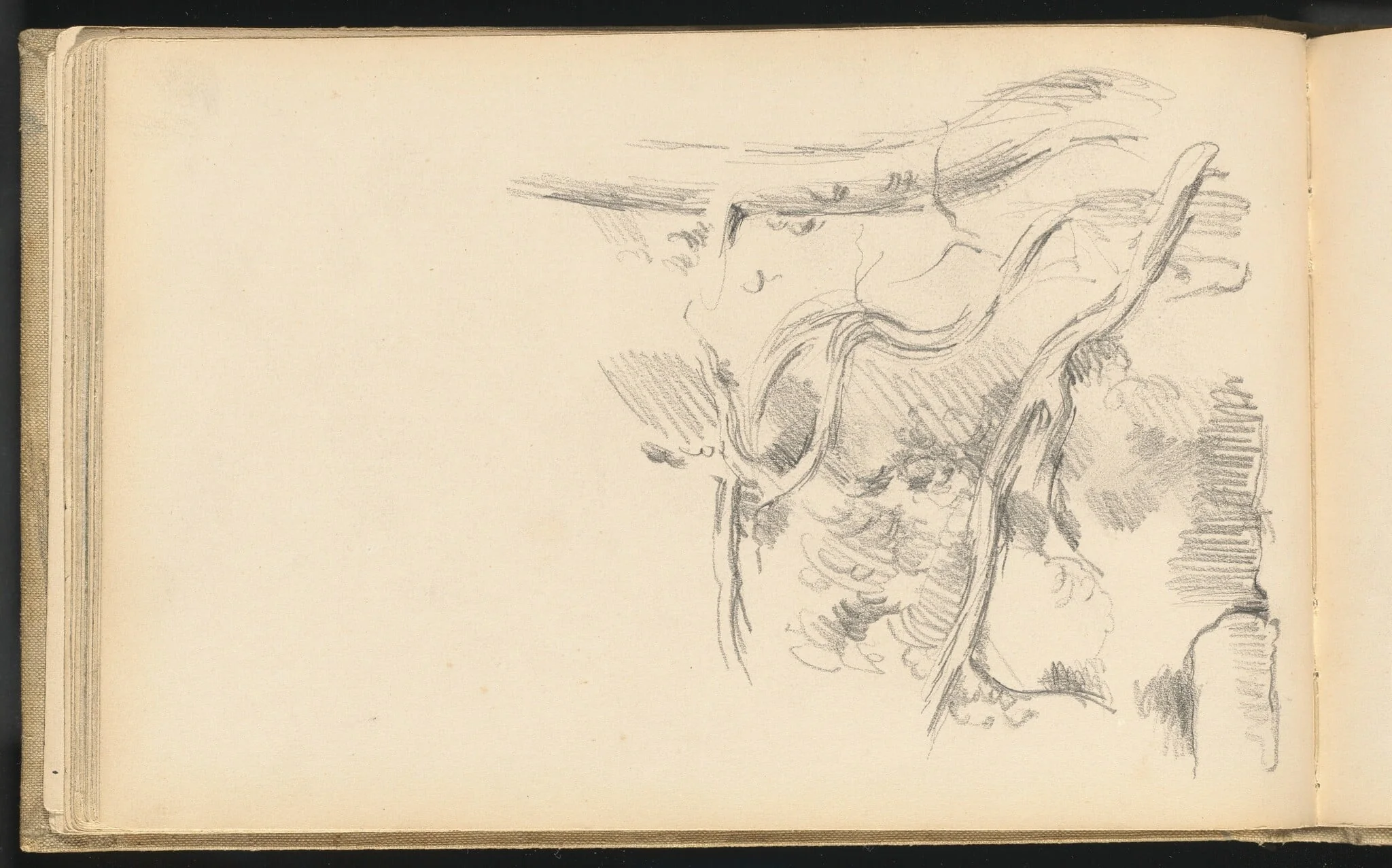 Pine Tree, detail