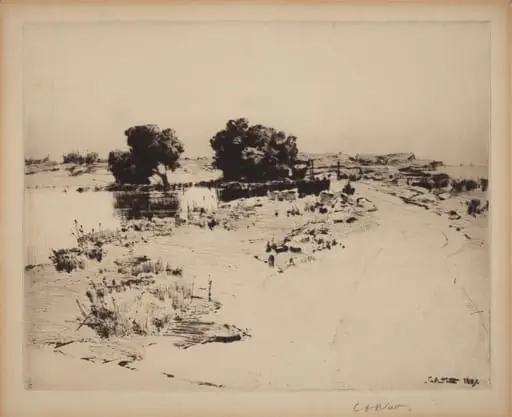 Cape Ann Willows, by Charles A. Platt