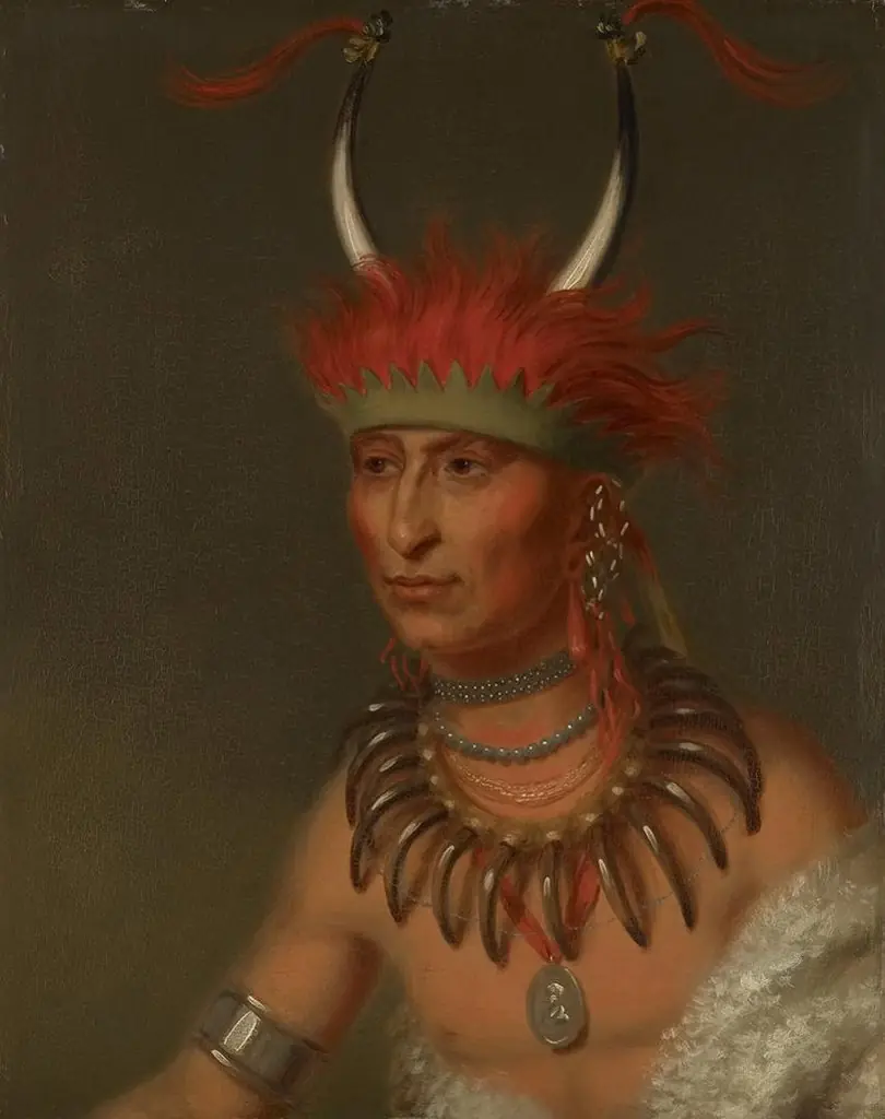 Shaumonekusse, Oto Half Chief (Husband of Eagle of Delight), by Charles Bird King