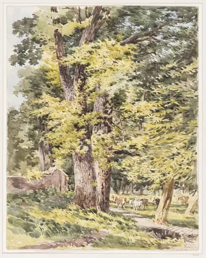 Charles Claude Pyne