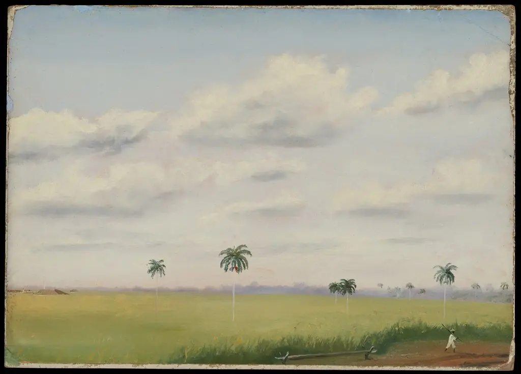 Ingo, San Martin, Cuba, by Charles de Wolf Brownell