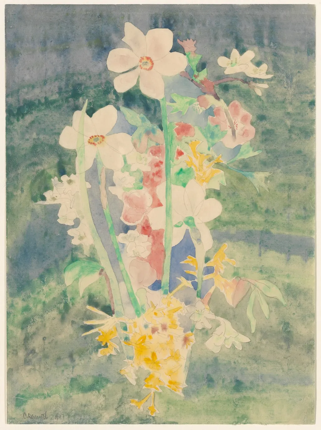 Narcissi, by Charles Demuth, unspecified, 1917