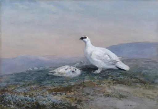 Ptarmigan, by Charles Edward Swan
