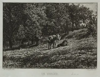 An Orchard