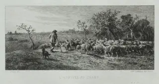 Arriving at the Field