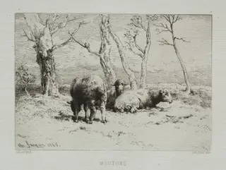 Sheep, by Charles-Émile Jacque