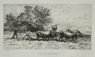 Team of Oxen, by Charles-Émile Jacque
