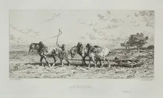 The Roller, by Charles-Émile Jacque