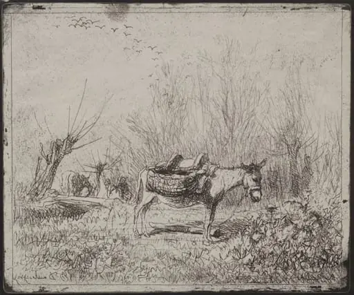 A Donkey in the Field, by Charles François Daubigny