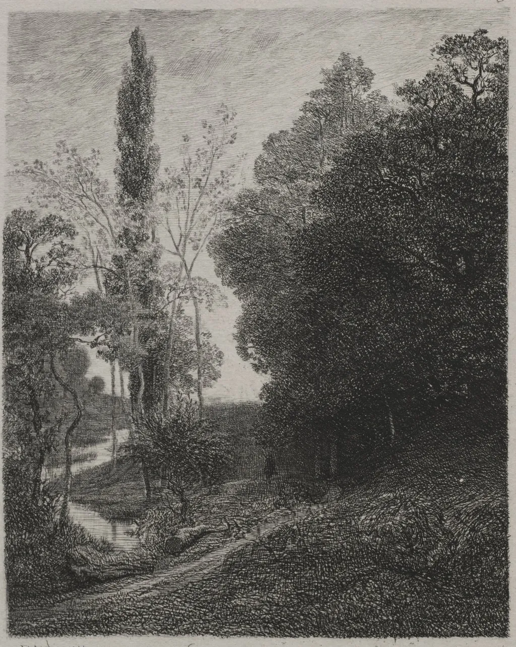 Banks of the River Cousin, by Charles François Daubigny, 1850