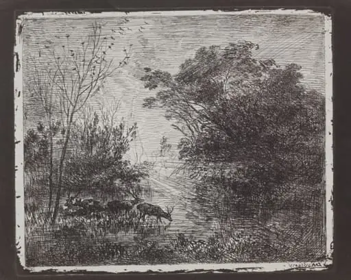 Deer, by Charles François Daubigny