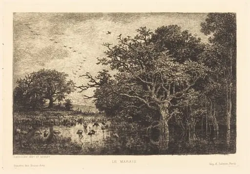 Marsh (Le Marais), by Charles François Daubigny