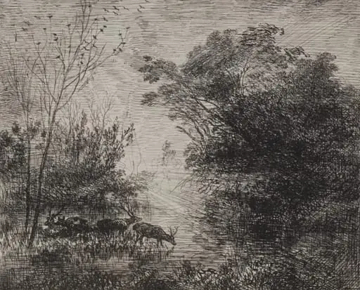 Stags, by Charles François Daubigny
