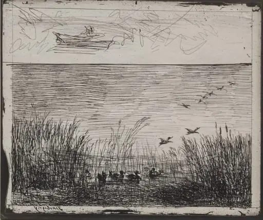 Swamp with Ducks, by Charles François Daubigny