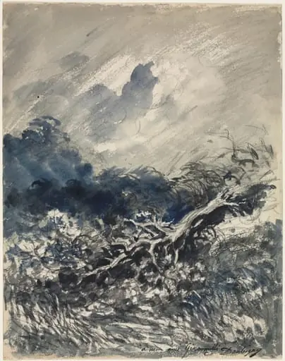 The Oak Tree and the Reed, by Charles François Daubigny