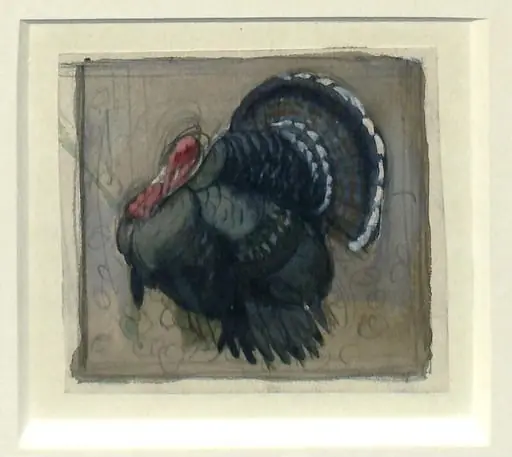 Turkey Cock, by Charles Frederick Tunnicliffe