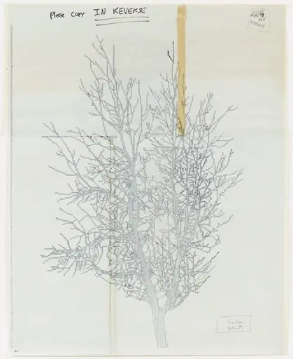 Untitled, by Charles Gaines