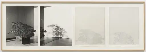 Untitled, by Charles Gaines