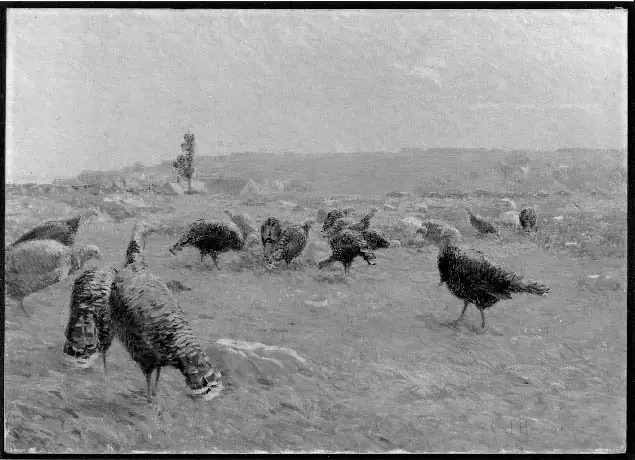 Turkey Pasture, by Charles Henry Hayden