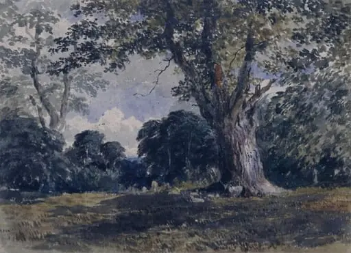 Deer In Richmond Park, by Charles Henry Woodman