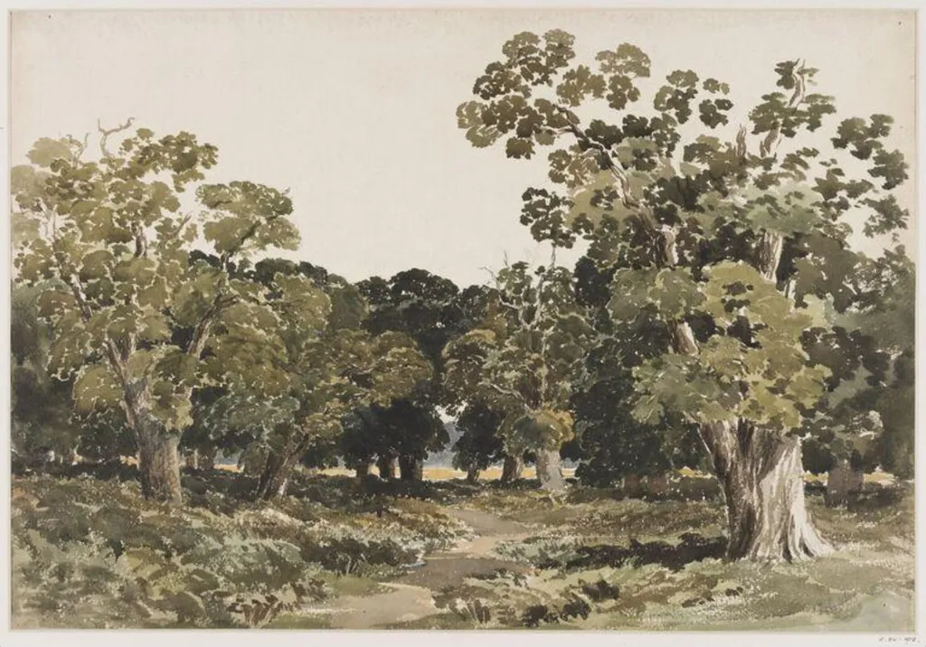 Richmond Park, by Charles Henry Woodman, watercolor, 1853