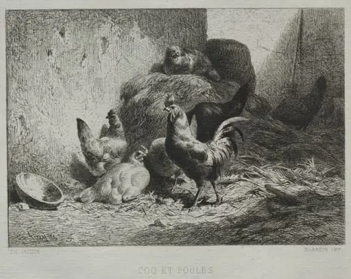 Cock and Hens, by Charles Jacque