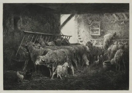 Interior of a Sheep Pen, by Charles Jacque