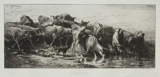 L'Abreuvoir, by Charles Jacque