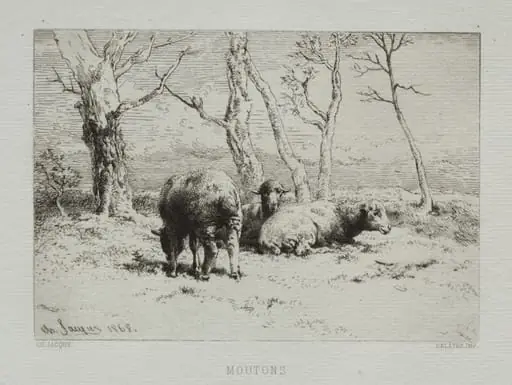 Sheep, by Charles Jacque