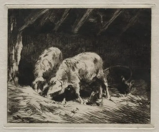 Two Pigs, by Charles Jacque