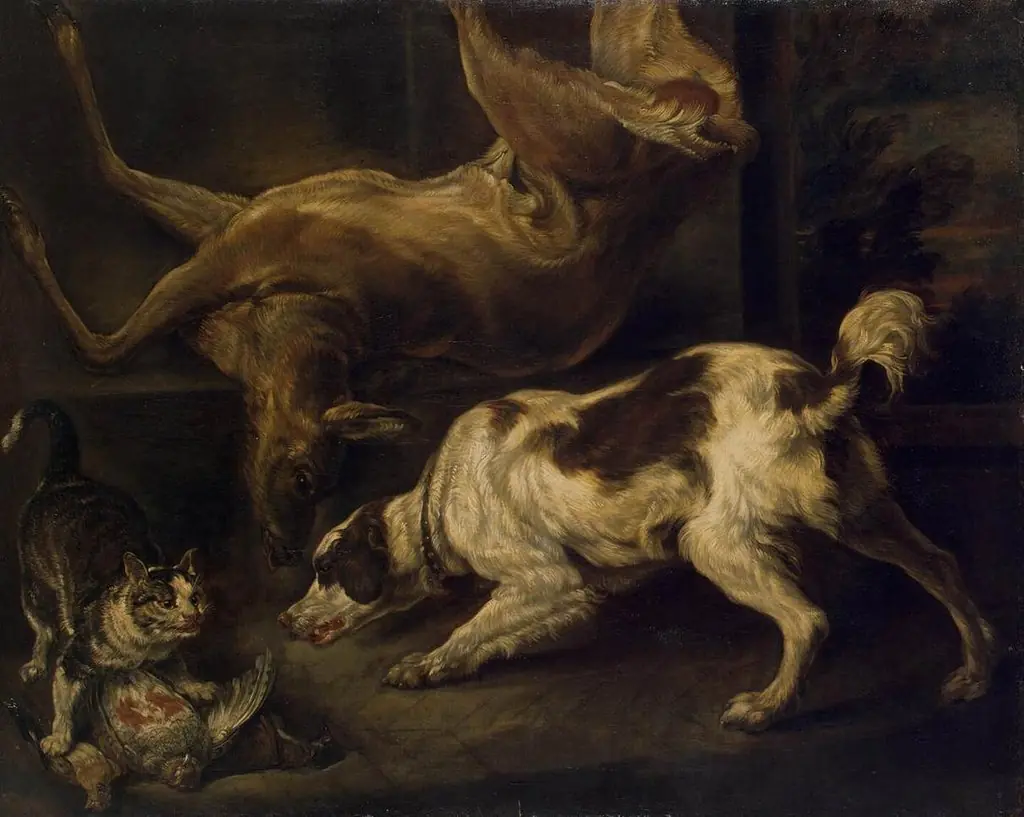 Deer, Dog and Cat, by Charles Jervas