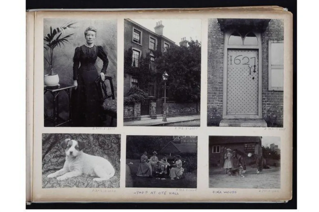 Photograph of a dog, by Charles Jones, photographic, 1900
